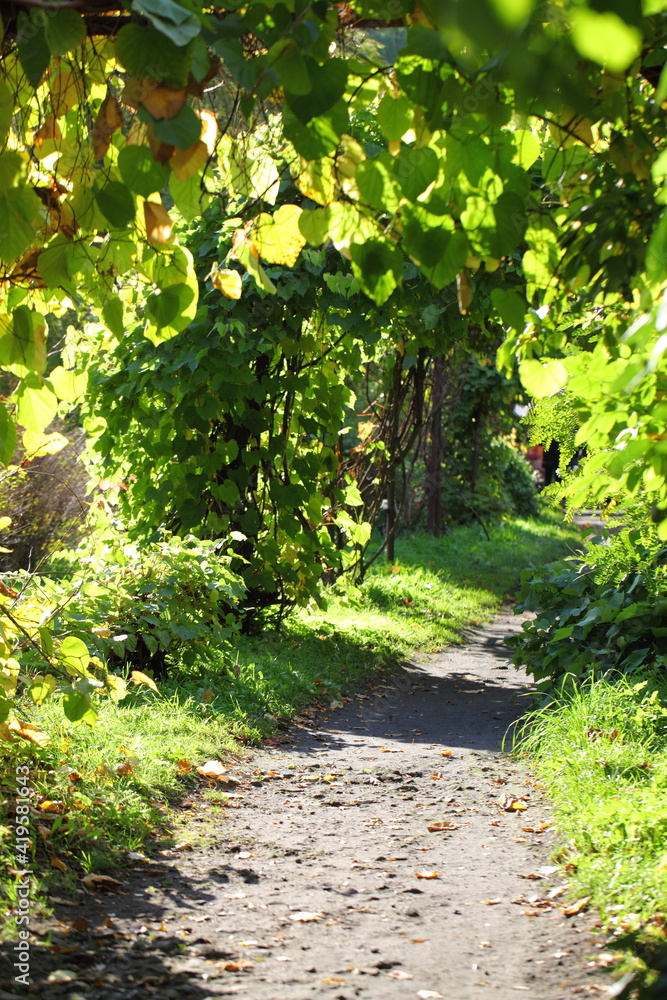 footpath in the park footpath in the park