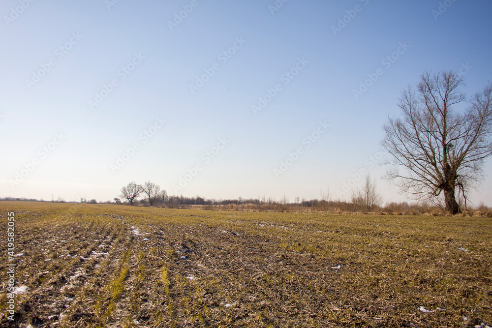 plowed field in winter plowed field in winter