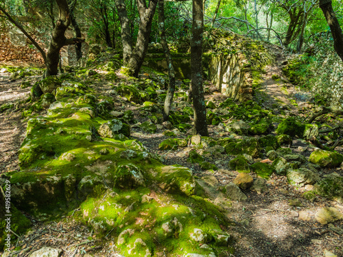 Es Freu (Orient), hiking area near the village of  Bunyola on the balearic island of mallorca, spain photo