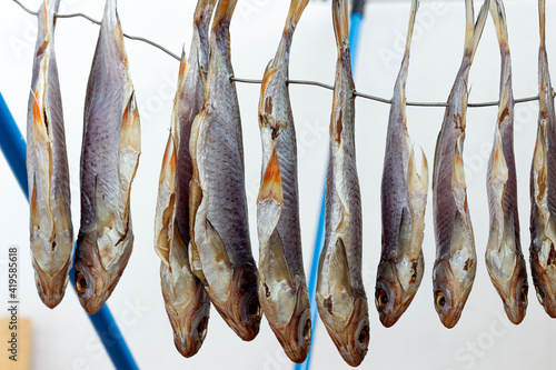 dried fish, salted roach dry on a wire photo