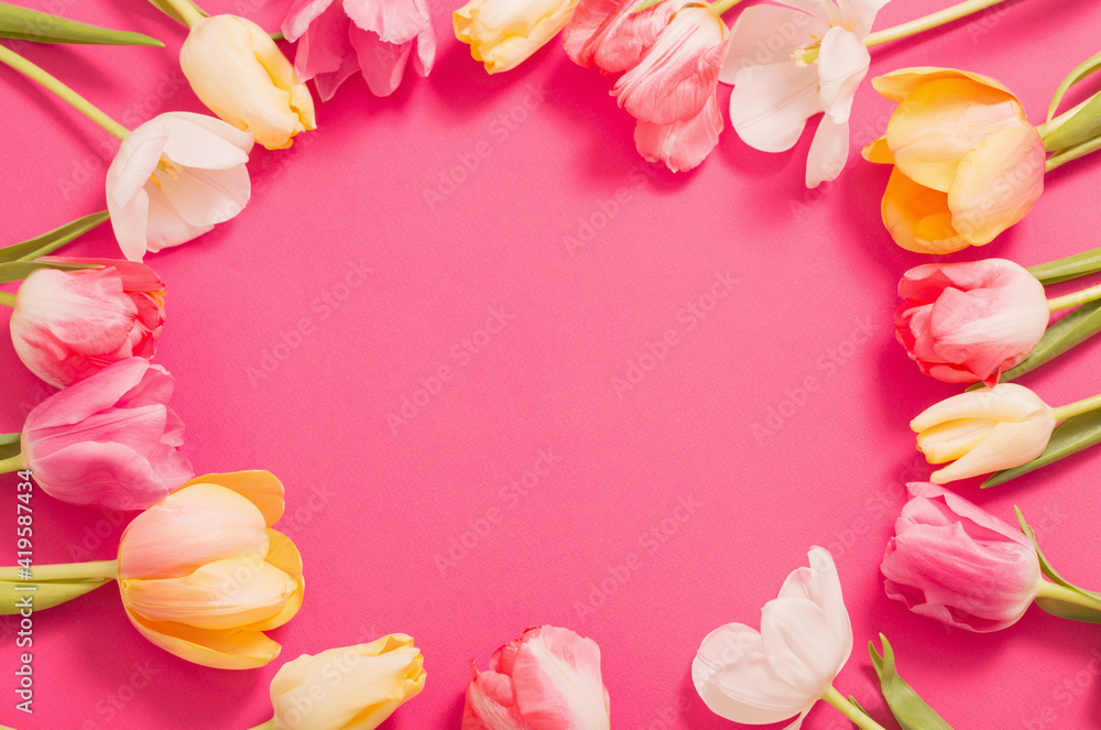 frame of tulips on pink background