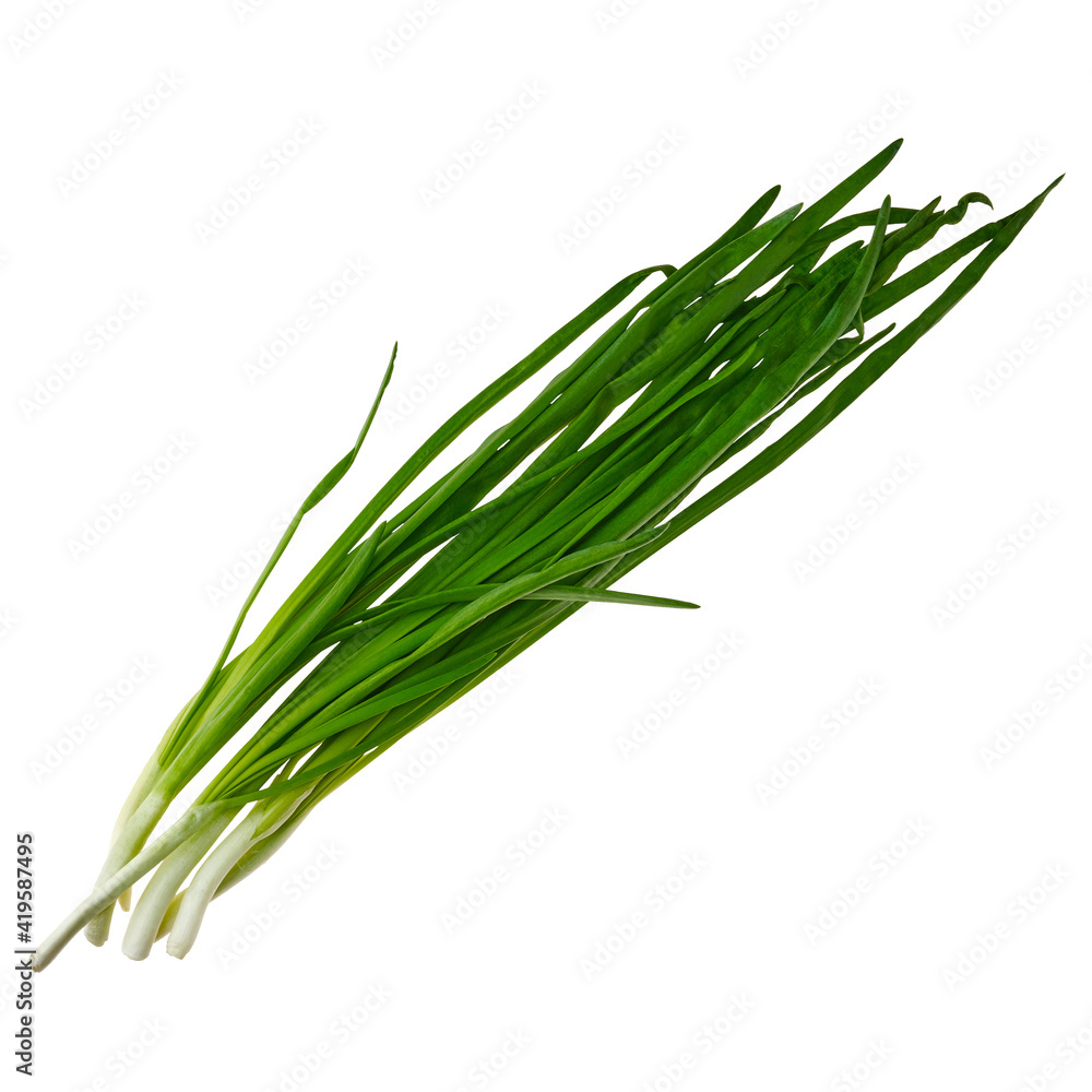 Top view of fresh spring onion