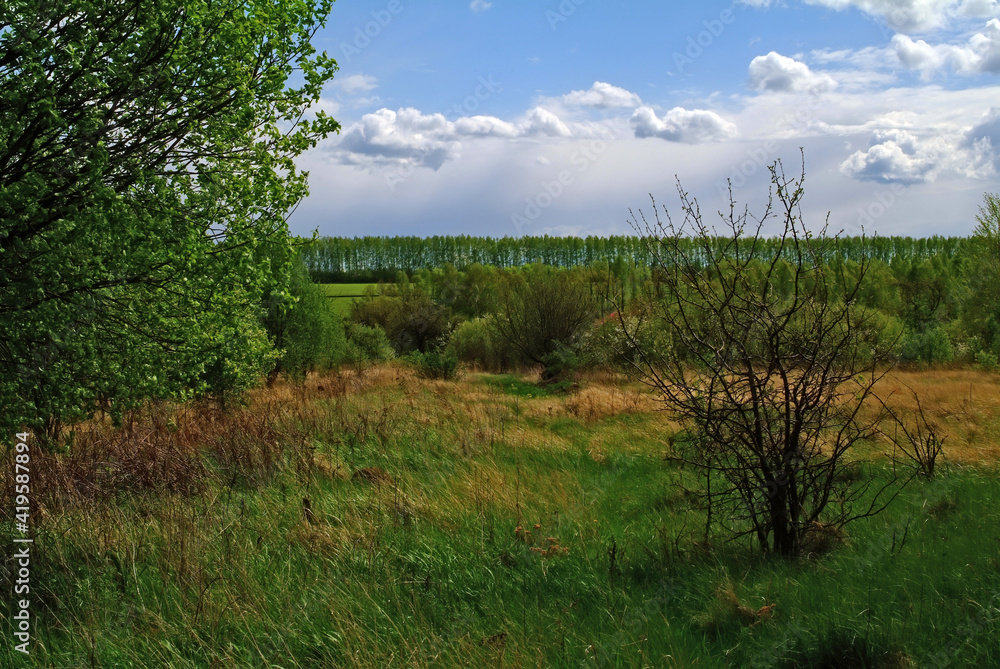 Fototapeta premium rural landscape on a cloudy spring day