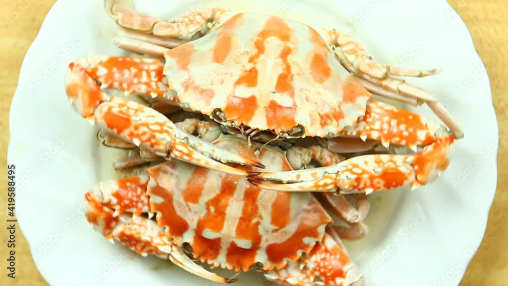 Steamed musk crab in plate , in studio Chiangmai Thailand Steamed musk crab in plate , in studio Chiangmai Thailand