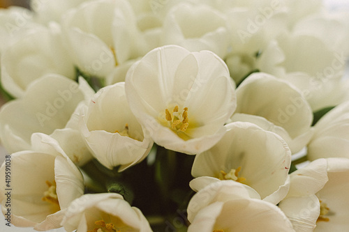 White tulips in transparent vase on color background. Spring concept. Retro film grain picture