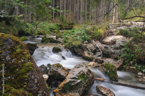 Ruscello nel bosco a Braies
