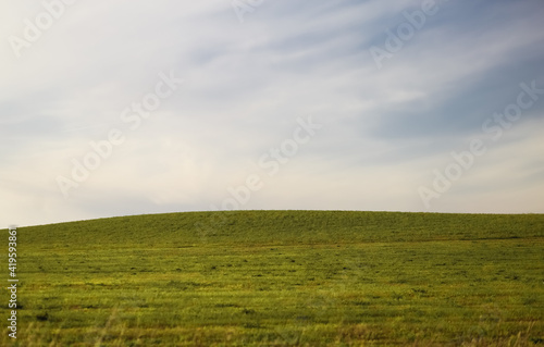 Countryside natural beauty forest field