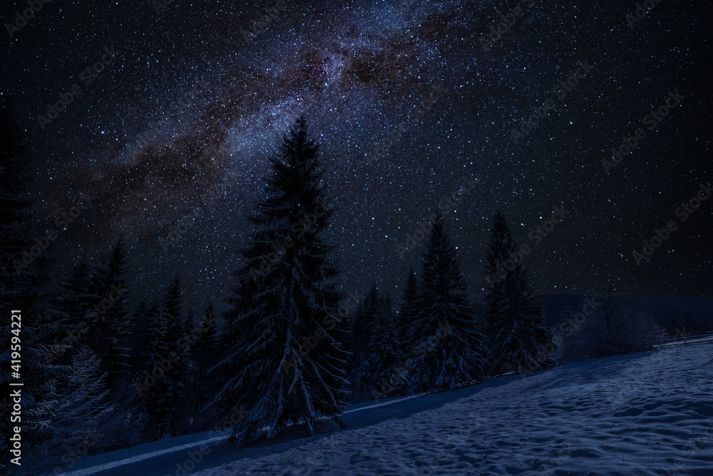 Snowy forest and stars in night sky