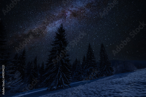 Snowy forest and stars in night sky © firewings
