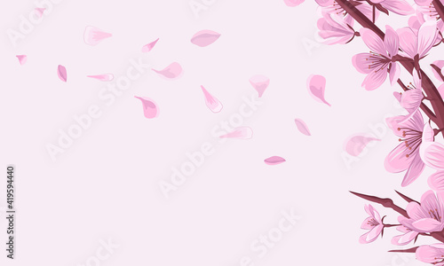 Cherry blossom branch with fallen petals pink vector background. Spring asian background with blooming sakura.