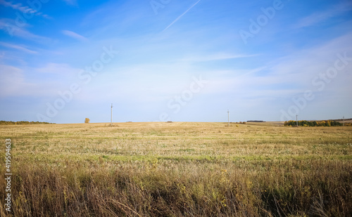 Countryside natural beauty forest field