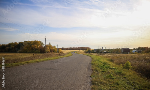 Countryside natural beauty forest field