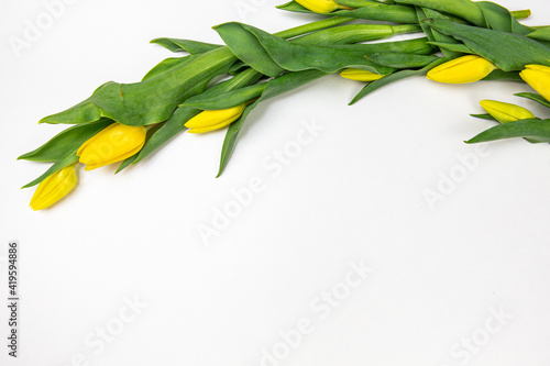 yellow flowers tulips and roses on a white background © Анастасия Клевакова