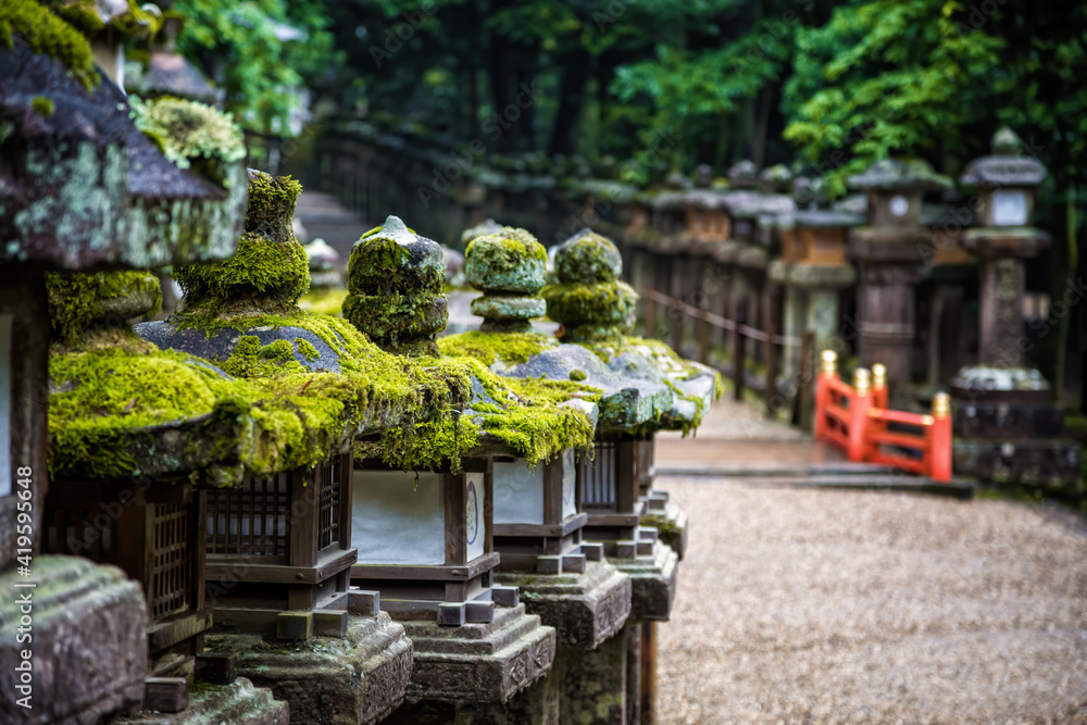 Stone lanterns line the pathway to the Kasuga-taisha Shrine, Nara, Japan Stone lanterns line the pathway to the Kasuga-taisha Shrine, Nara, Japan