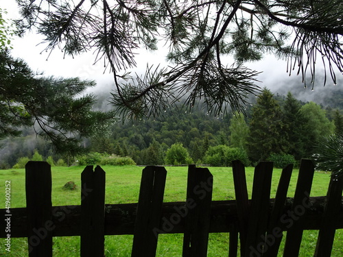 white fence and grass