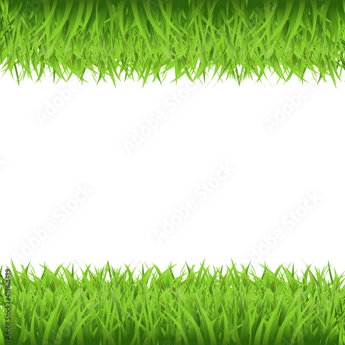 Green Grass Frame, Isolated On White Background, Vector Background