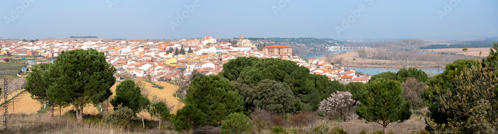 Panoramic view of the village of Castronuño located on the banks of the Duero river in Valladolid, Spain