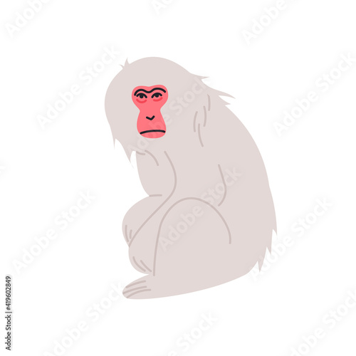  Japanese Macaque isolated vector illustration. Snow Monkey design element. Asian wildlife creature in cartoon style.