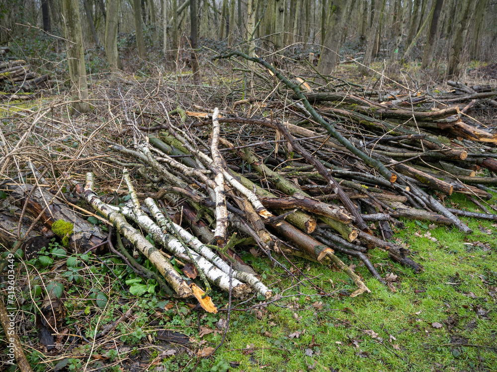 Holz Schäden nach Unwetter nass Holz Schäden nach Unwetter nass