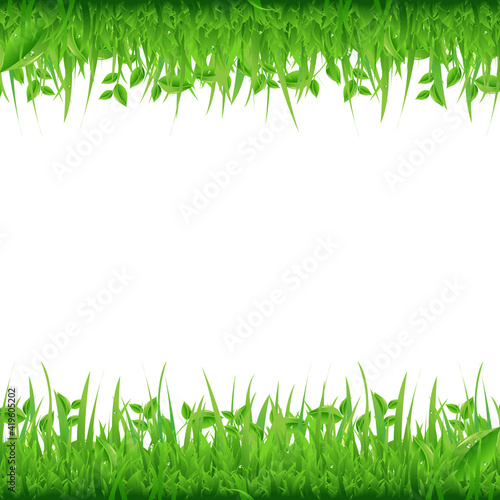Grass Borders, Isolated On White Background, Vector Background