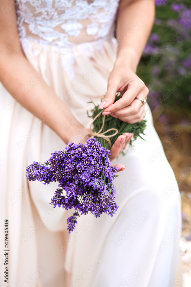a bouquet of fresh lavender in the hands of a girl a bouquet of fresh lavender in the hands of a girl