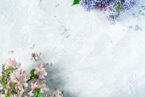 Floral spring background with variety of colorful apple and lilac flowers on concrete gray background, top view, place for text