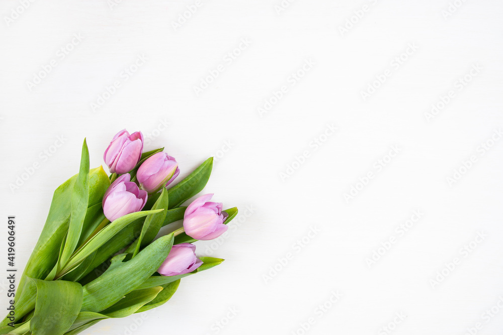 Tulips on a white background. Festive floral concept with clean text space. Flat lay. View from above. Tulips on a white background. Festive floral concept with clean text space. Flat lay. View from above.