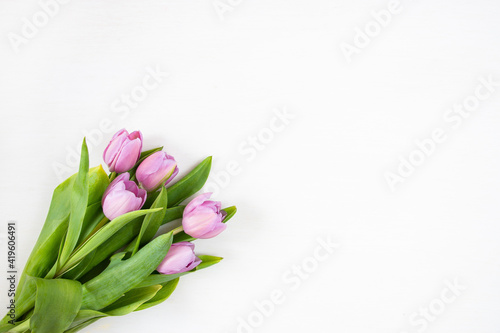 Tulips on a white background. Festive floral concept with clean text space. Flat lay. View from above.