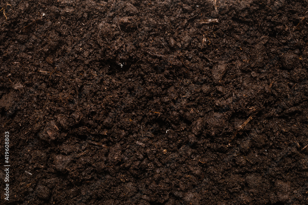 Black land for plant background. Black land for plant background.