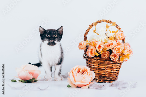 Cute little kitty cat posing for the camera near a basket of flowers.  © belyaaa