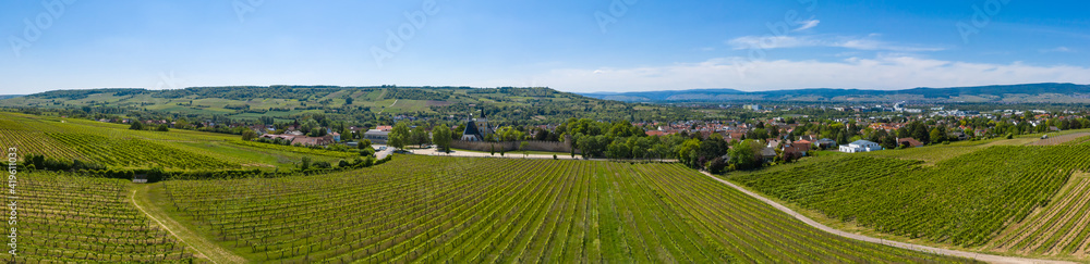 Panorama from above of the vineyards near Ingehlhiem / Germany with the city in the background 