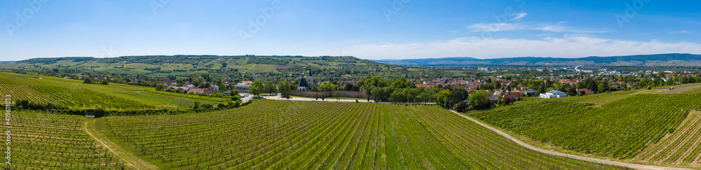 Panorama from above of the vineyards near Ingehlhiem / Germany with the city in the background Panorama from above of the vineyards near Ingehlhiem / Germany with the city in the background