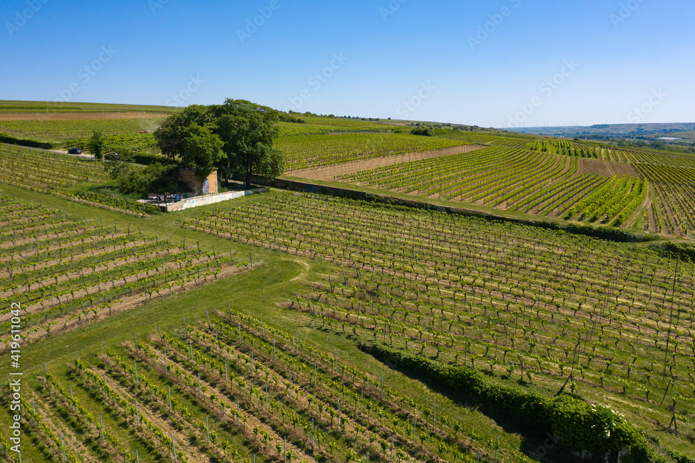 Panorama from the top of the vineyards at Ingehlhiem / Germany with a vineyard cottage in the background
