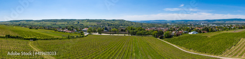 Panorama from above of the vineyards near Ingehlhiem / Germany with the city in the background 