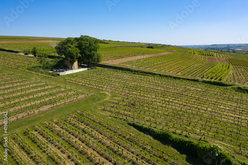 Panorama from the top of the vineyards at Ingehlhiem   Germany with a vineyard cottage in the background