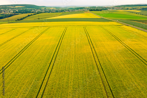 Bird's-eye view of an almost faded rapeseed field in the Taunus / Idstein 