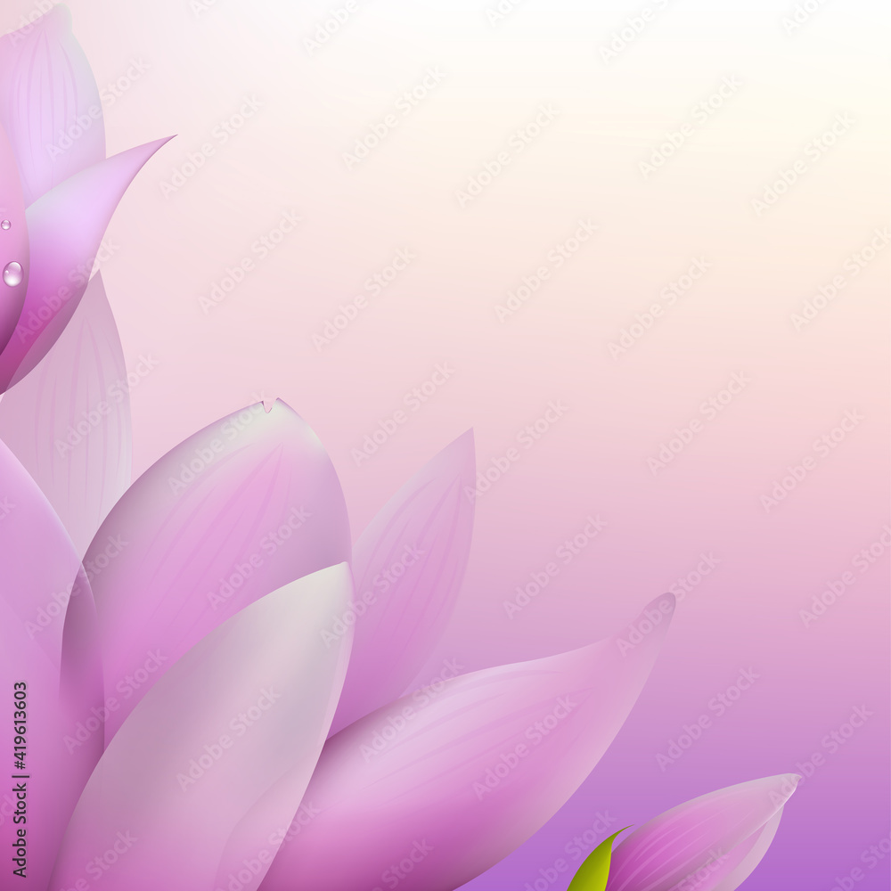 Fresh Magnolia, Vector Illustration Fresh Magnolia, Vector Illustration
