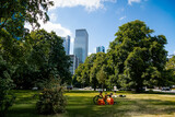 View from Gallusanlage behind the trees, skyscrapers at the financial district, Wall Park in front of the skyline in downtown, Marienturm, green grass, Frankfurt am Main, Germany