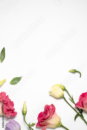 Wallpaper Mural Floral background. Beautiful delicate eustoma flowers. Top view and copy space Torontodigital.ca