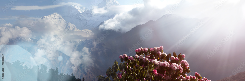 Spectacular views of the snow-white peaks of the Himalayas with a lush ...