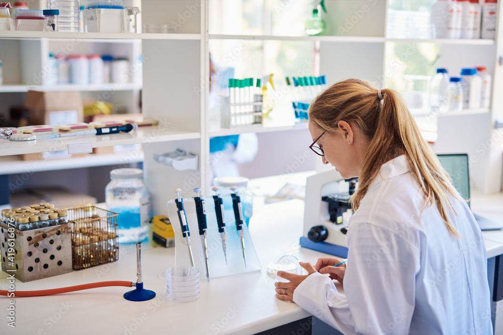Fototapeta premium Female lab technician analyzing a sample in a petri dish