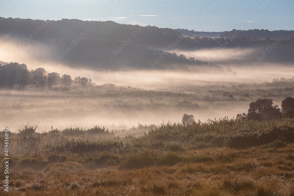 Fototapeta premium Moody golden misty light on the countryside landscape of Horton Plains National Park in the central highlands of Sri Lanka.