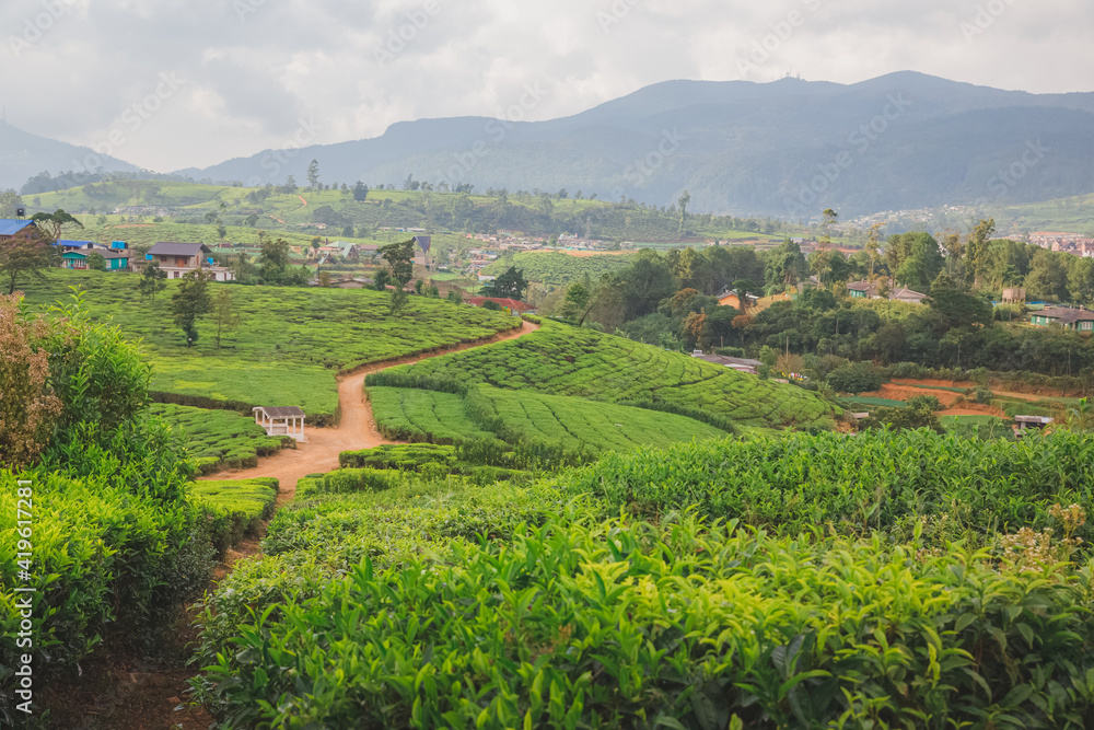 Landscape countryside view of Sri Lankan hill country, tea plantations and Nuwara Eliya village, Sri Lanka.