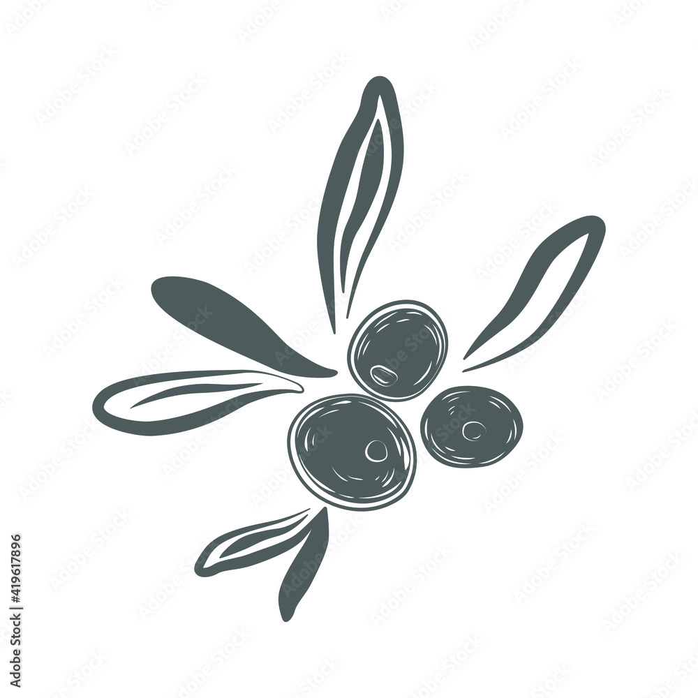 Vector illustration with olive branch, hand-drawn line. Black and white sketch with vegetarian food for kitchen design, poster, flyer. Isolated image of ink on white background in retro vintage style. Vector illustration with olive branch, hand-drawn line. Black and white sketch with vegetarian food for kitchen design, poster, flyer. Isolated image of ink on white background in retro vintage style.