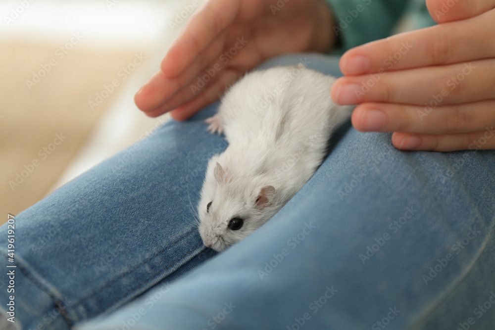 Little girl with cute hamster at home, closeup Little girl with cute hamster at home, closeup