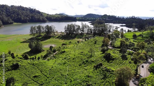 Situ Patenggang lake with tea garden view photo