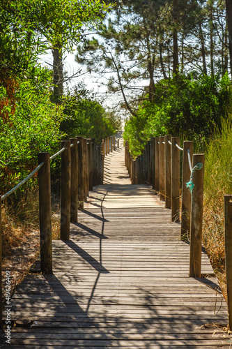 Wooden footbridge leading to the beach across the dunes in protected area