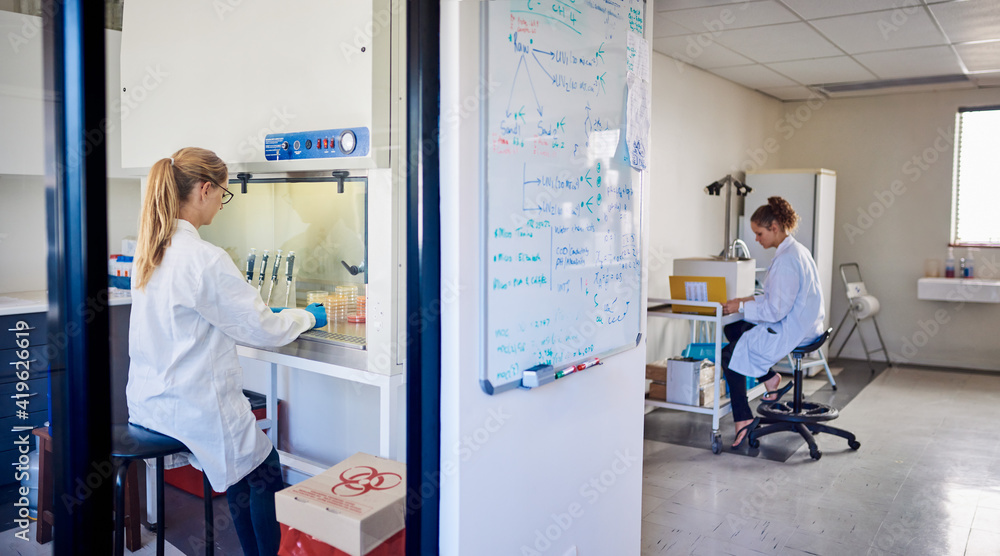 Two female technicians working in a lab Two female technicians working in a lab
