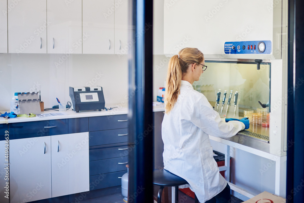 Female technician working with lab samples in a biosafety cabinet Female technician working with lab samples in a biosafety cabinet