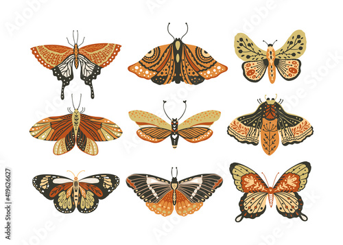 Design butterfly nature isolated insect vector art. Spring boho bohemian moth set.